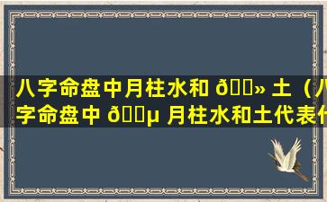 八字命盘中月柱水和 🌻 土（八字命盘中 🐵 月柱水和土代表什么）